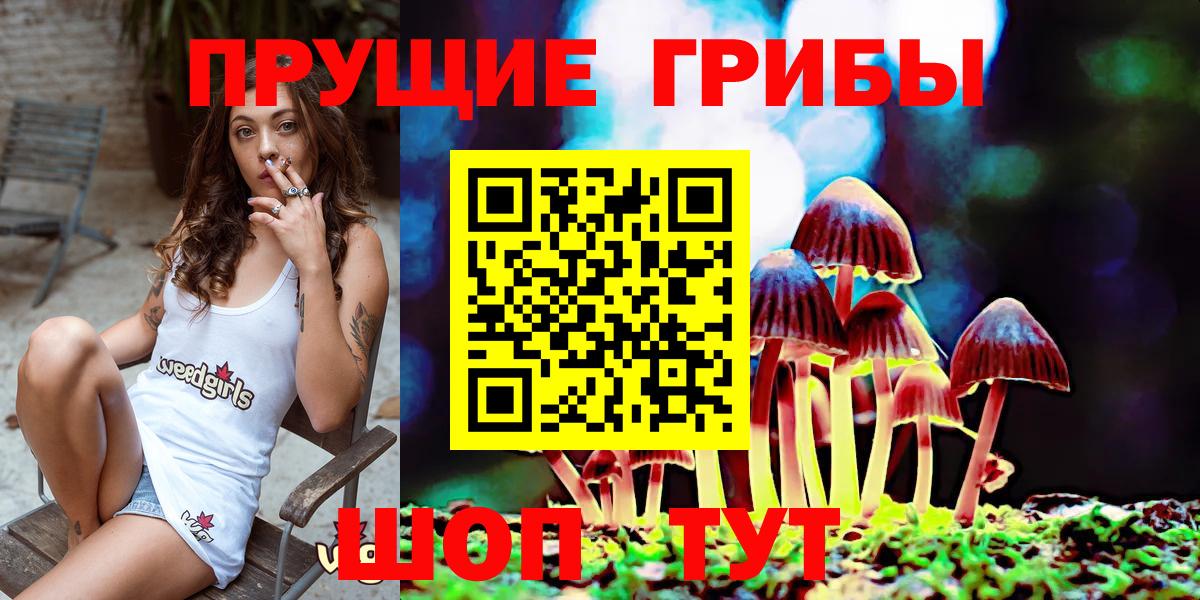 Псилоцибиновые грибы MAGIC MUSHROOMS  Вход с VPN  Псилоцибиновые грибы Magic Shrooms  Заречный 