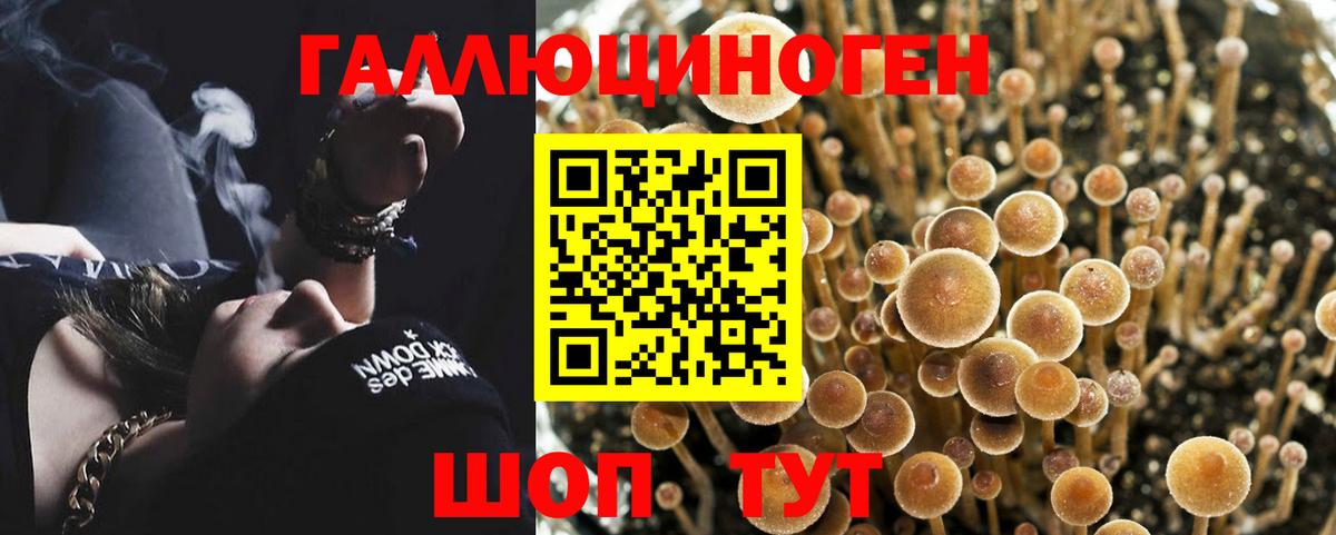 Псилоцибиновые грибы MAGIC MUSHROOMS Заречный